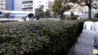 国产91视频在线播放,国产精品免费大片一区二区高清